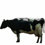 Big Dairy Cow Sculpture photo sculptures