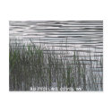 Big Ditch Lake postcards