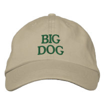 Big Dog