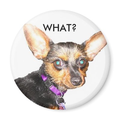 Big ears dog magnet by rescueadog