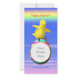 Big Easter Chicken Wings Customized Photo Card