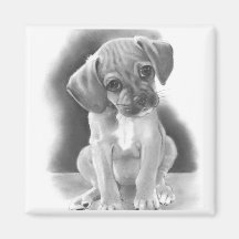 BIG-EYED PUPPY: PENCIL REALISM FRIDGE MAGNET