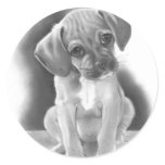 BIG-EYED PUPPY: PENCIL REALISM stickers
