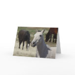 Big Eyes Pretty Little Grey Grey Pony Herd   Blank