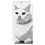 Big Fat Cat Full Color Rack Card