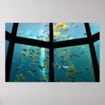 Big Fish Posters