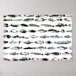 big fishes little fishes posters