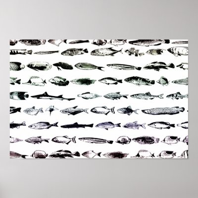 big fishes little fishes posters by mrpsiquedelico
