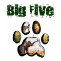 Big five game safari Lion Elephant Rhino t-shirts
