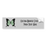 Big Green & Black Butterfly