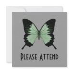 Big Green & Black Butterfly