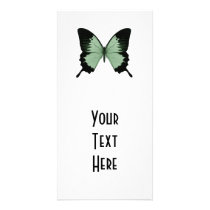Big Green & Black Butterfly