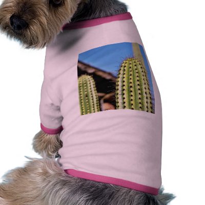 Big Green Cactus Pet Shirt by lifesphere