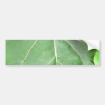 Big Green Leaf Bumper Sticker