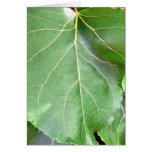 Big Green Leaf Card