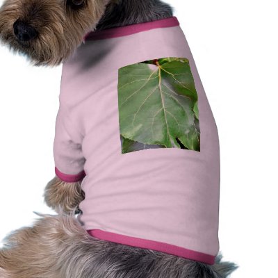 Big Green Leaf Pet T-shirt by lifesphere