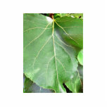 Big Green Leaf Acrylic Cut Outs