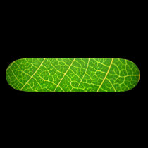 Big Green leaf skateboards