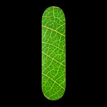 Big Green leaf skateboards