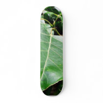 Big Green Leaves In Forrest Skateboards