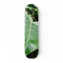 Big Green Leaves In Forrest skateboards