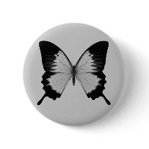 Big Grey & Black Butterfly