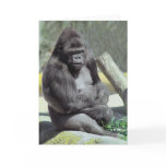 Big Gunns Gorilla Note Card