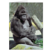 Big Gunns Gorilla Note Card