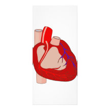 Big Hearted Custom Rack Cards