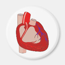 Big Hearted Magnet
