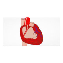 Big Hearted Photo Greeting Card