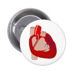 Big Hearted Pinback Buttons