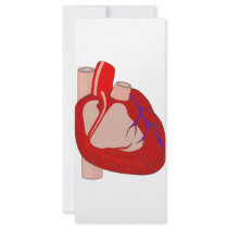 Big Hearted Custom Rack Cards
