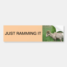 big horn sheep bumper stickers