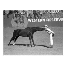 Big Horse Kiss, 1940 Post Card