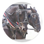 Big Horses Stickers