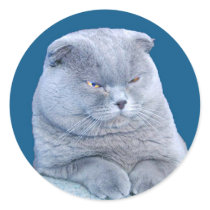 BIG IS BETTER CAT FACE STICKER BY ARA