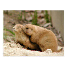 Big kiss post card