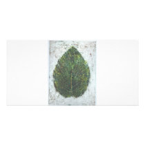 Big Leaf Photo Cards