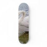 Big Male Swan Bird In Lake Skate Board