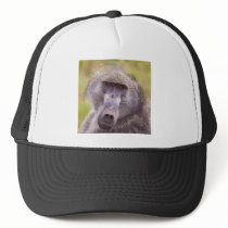 Big Man on Campus Hat