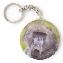Big Man on Campus Key Chains