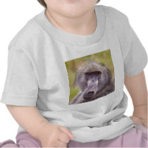 Big Man on Campus Shirts
