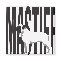 Big MASTIFF Refrigerator Magnets