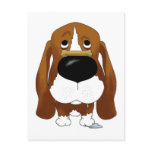 Big Nose Basset Hound Post Cards
