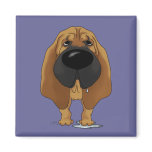 Big Nose Bloodhound magnets