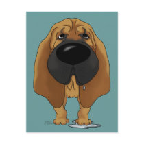 Big Nose Bloodhound