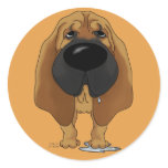 Big Nose Bloodhound