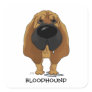 Big Nose Bloodhound