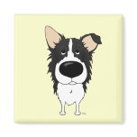 Big Nose Border Collie